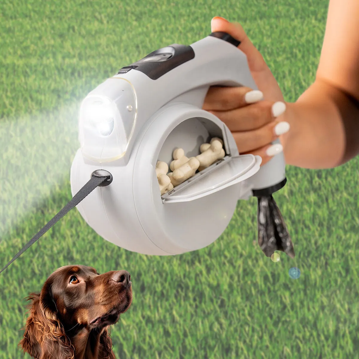 6-In-1 Retractable Dog Leash Leashic