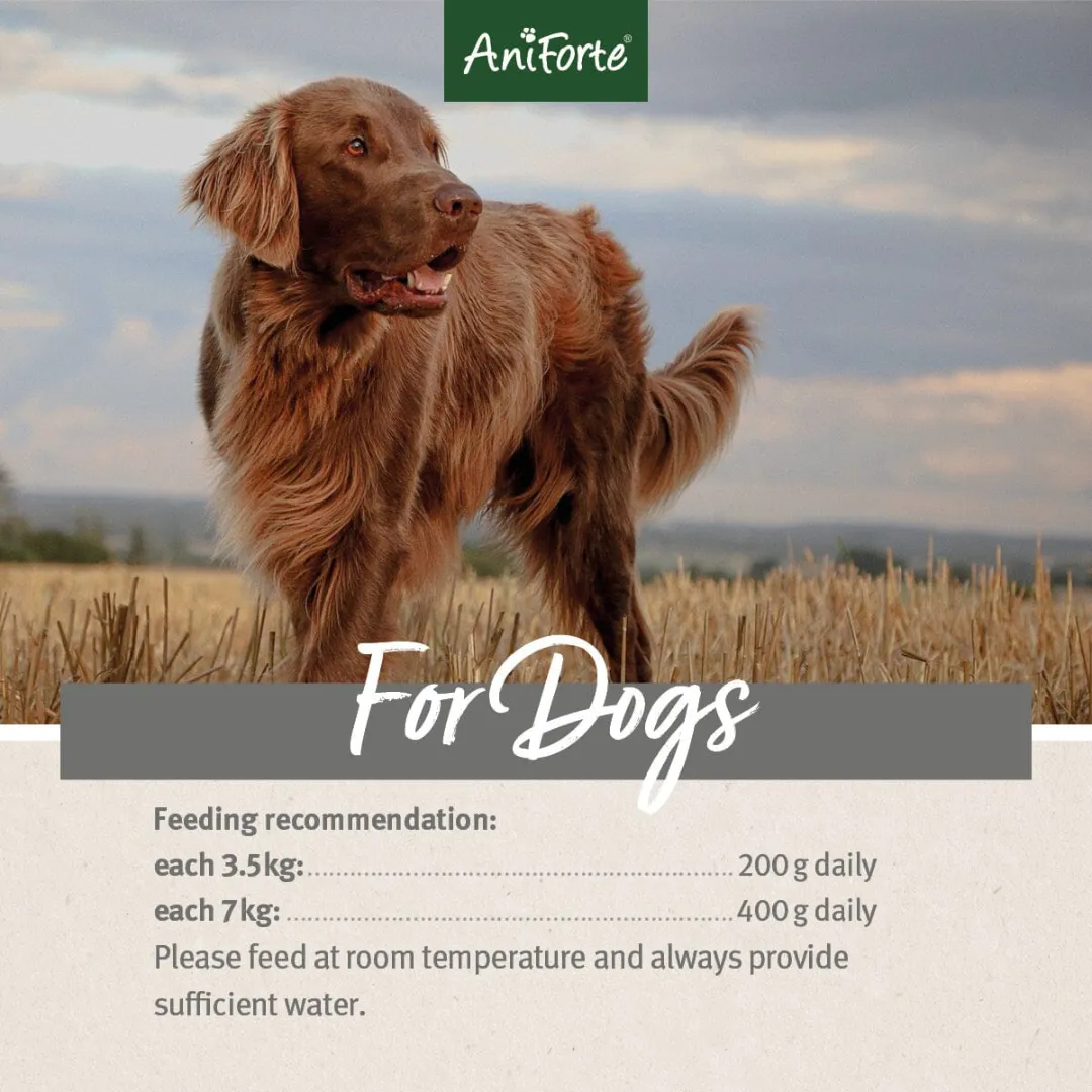 AniForte PureNature Farms Lamb Wet Food