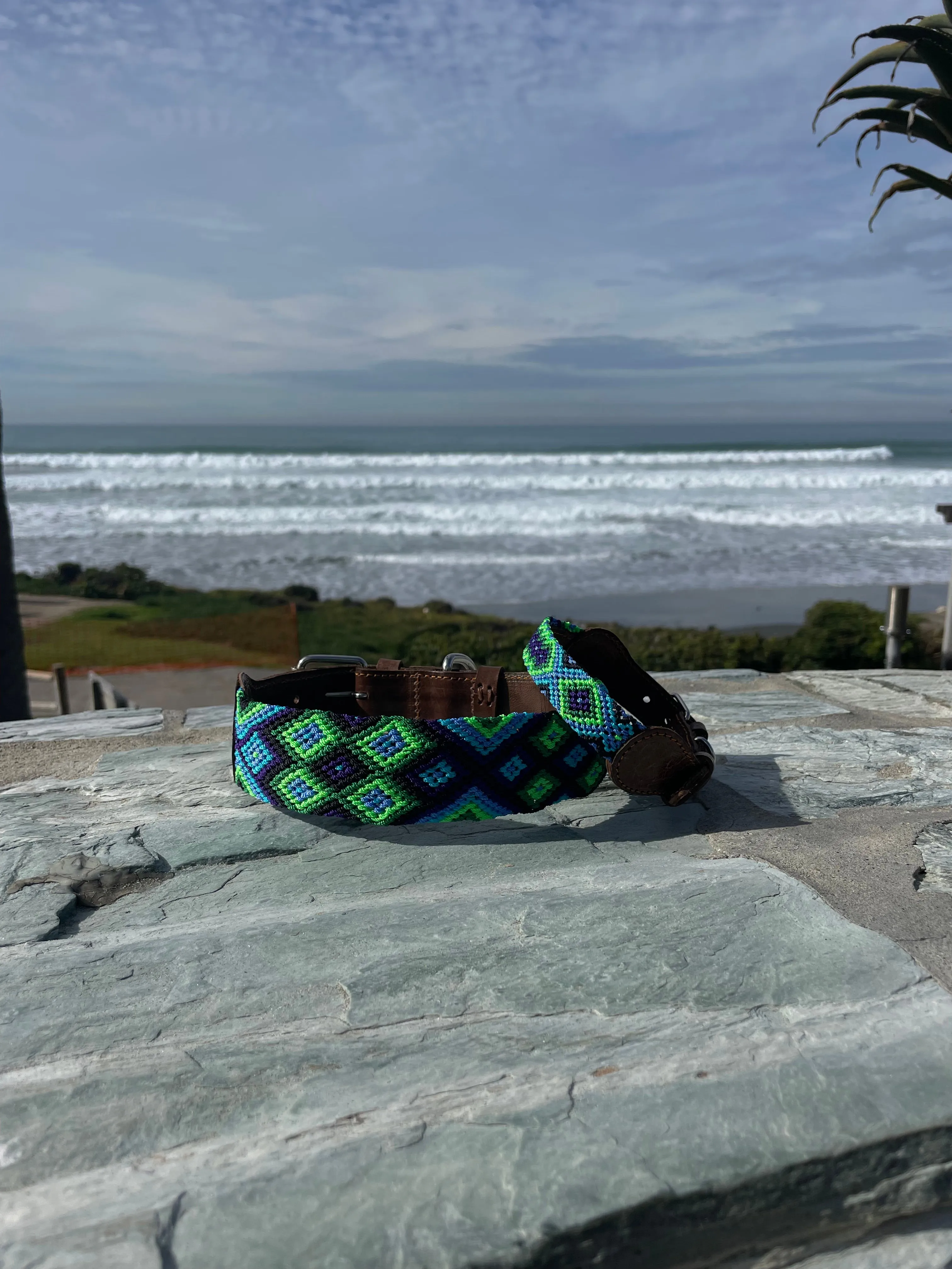 Bribon Leash