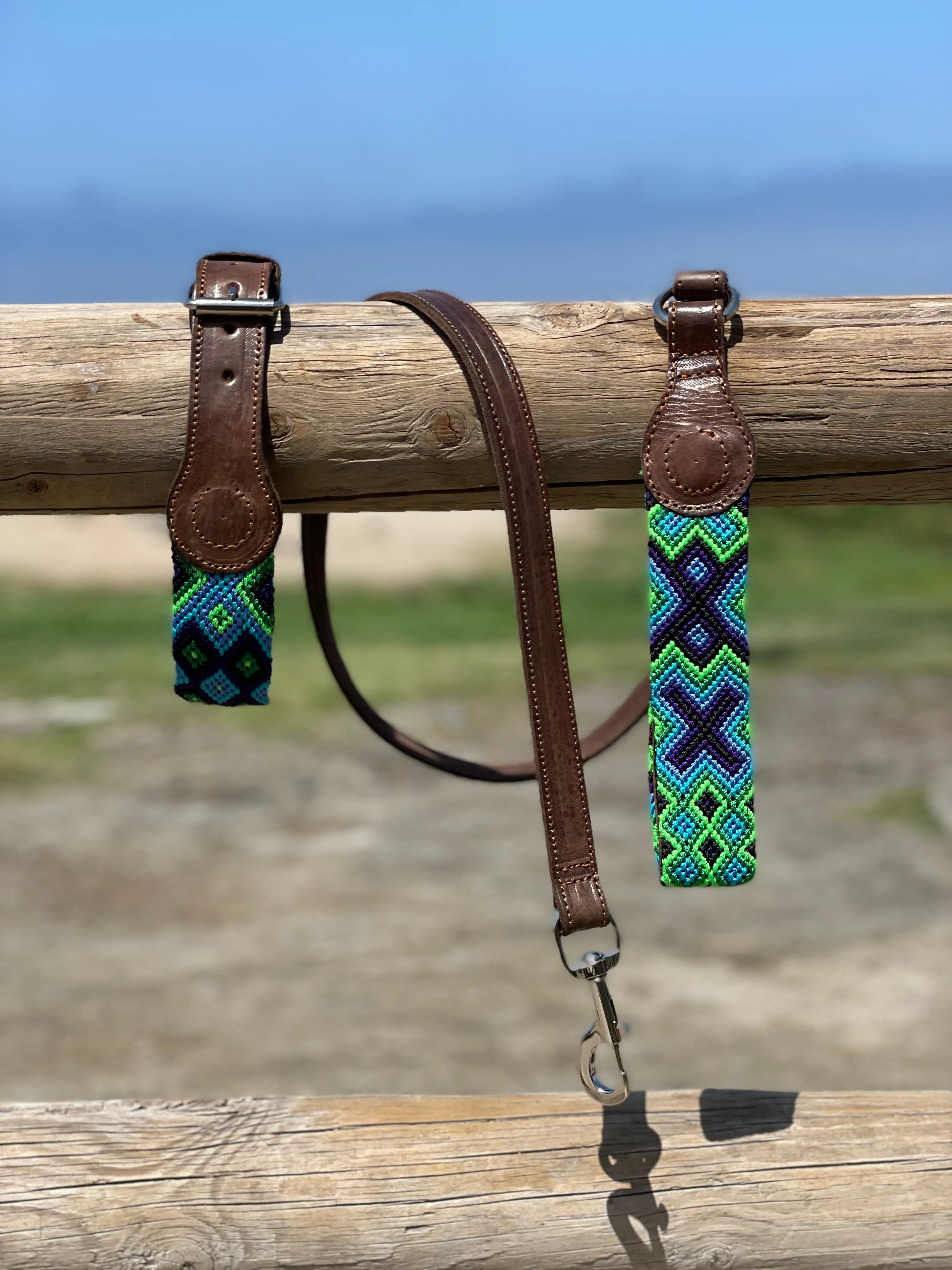 Bribon Leash