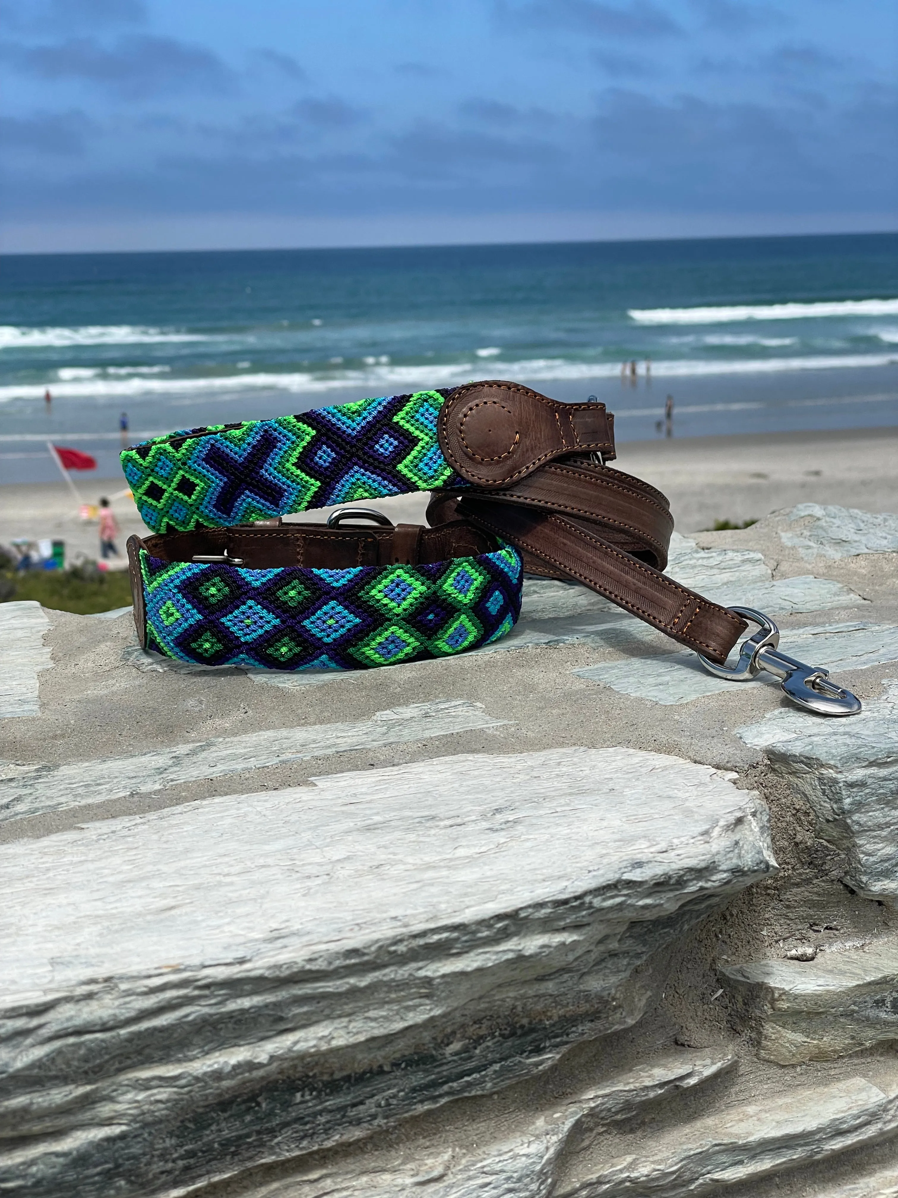 Bribon Leash