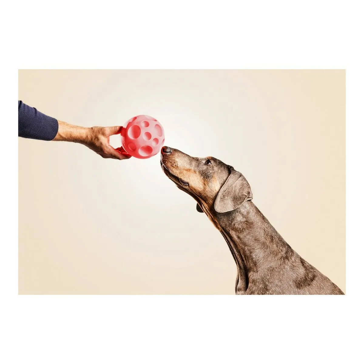 Dog Toy Gloria Dispenser Sweets Rubber 12 Cm