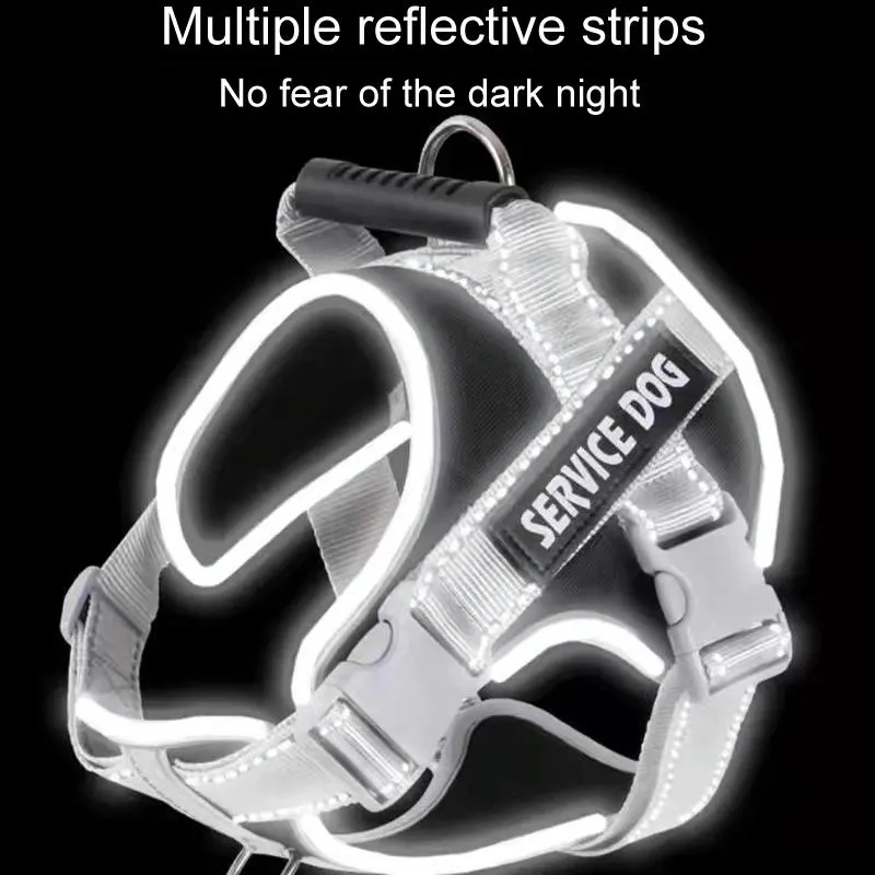 Explosion Proof Large Dog Harness With Leash Black 1.5M
