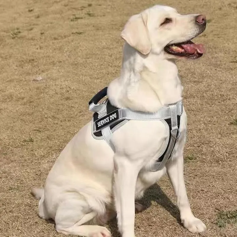 Explosion Proof Large Dog Harness With Leash Black 1.5M