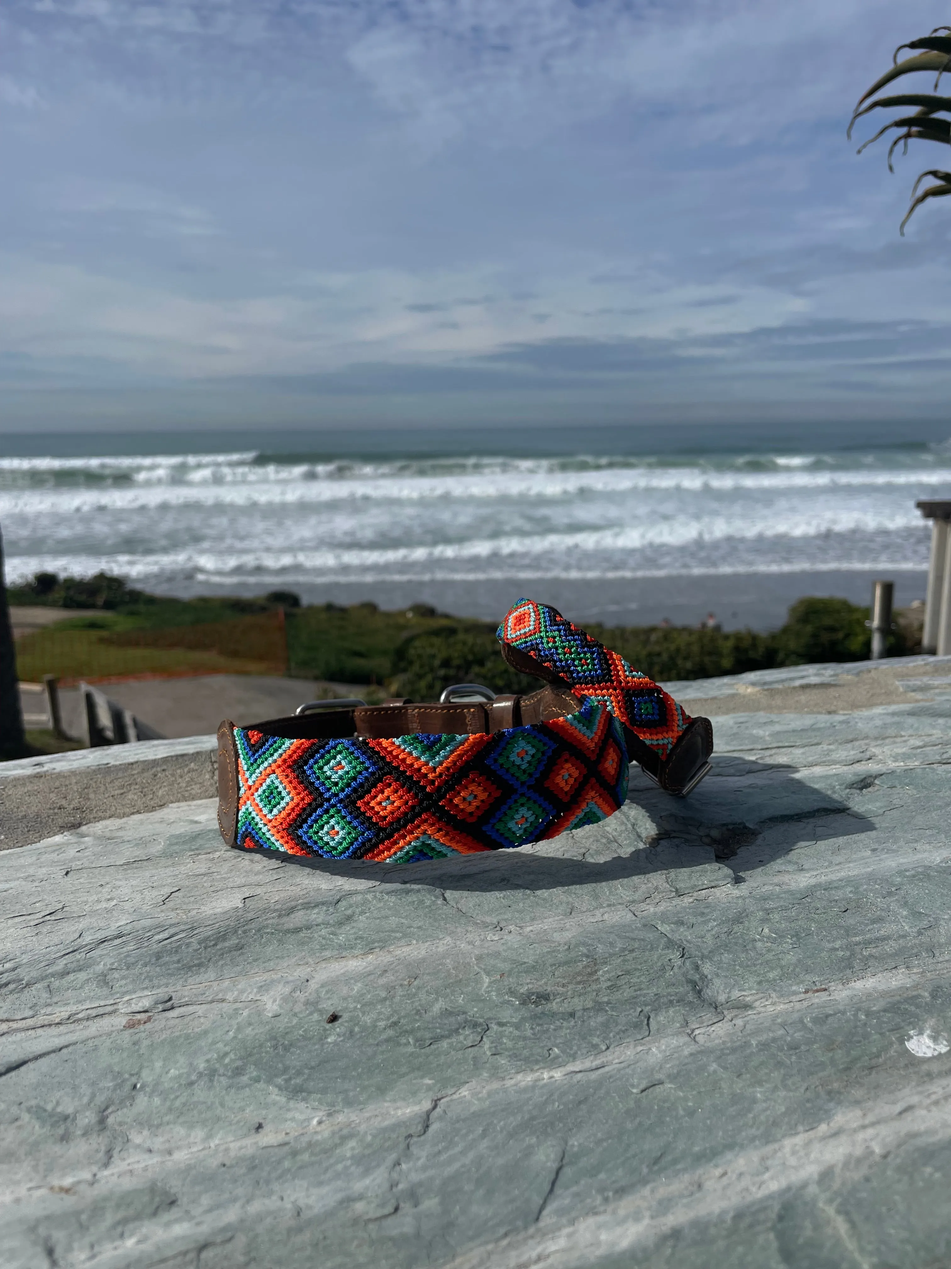 Pillo Leash