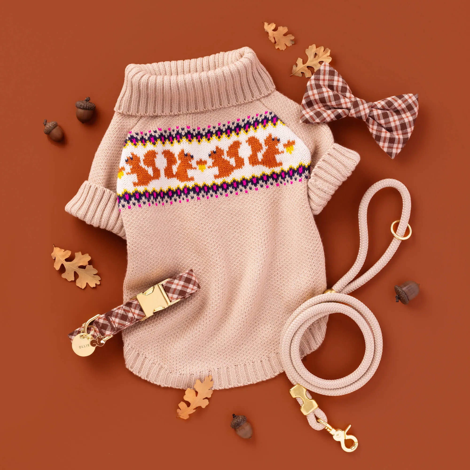 Squirrel Dog Sweater