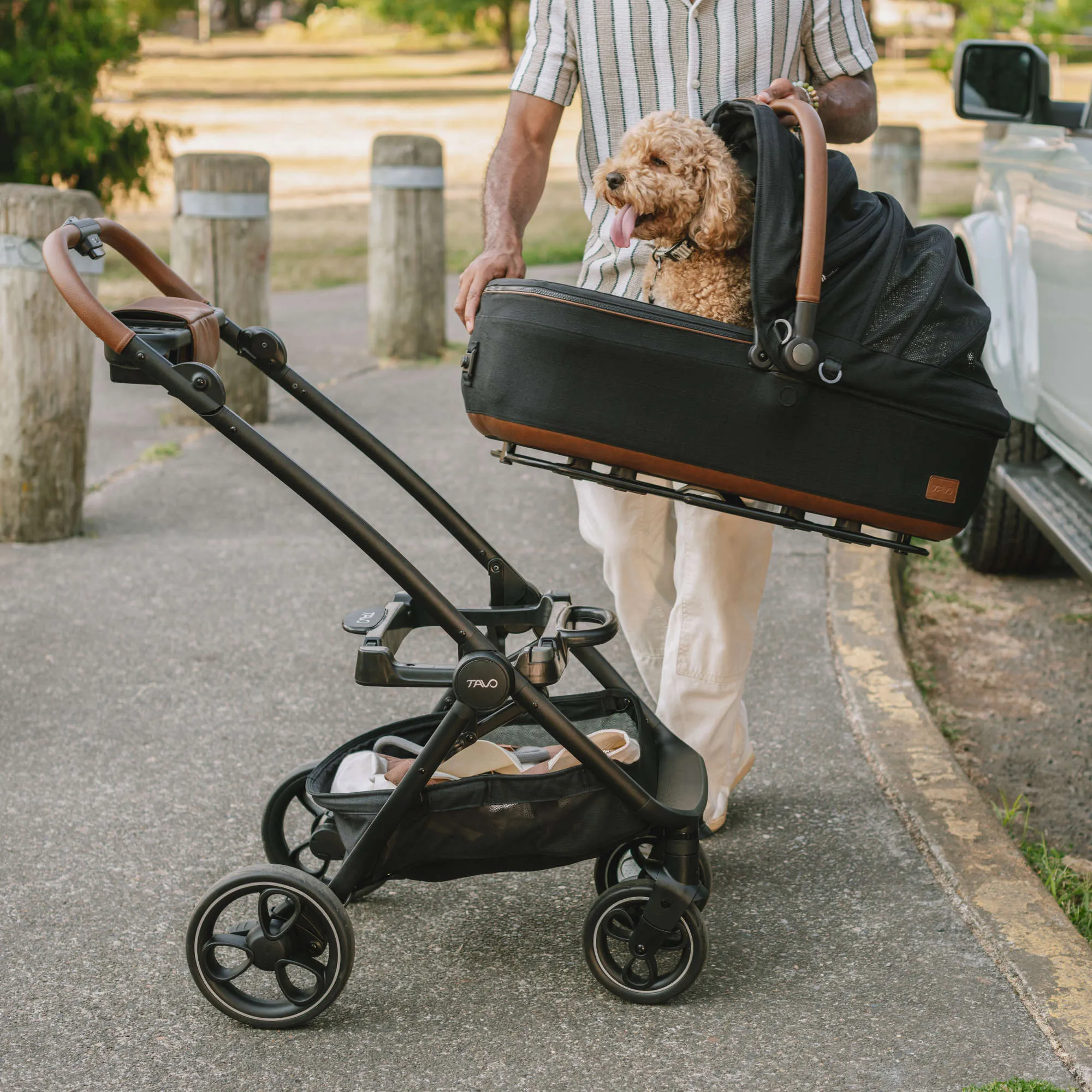 Tavo Maeve Pet Car Seat