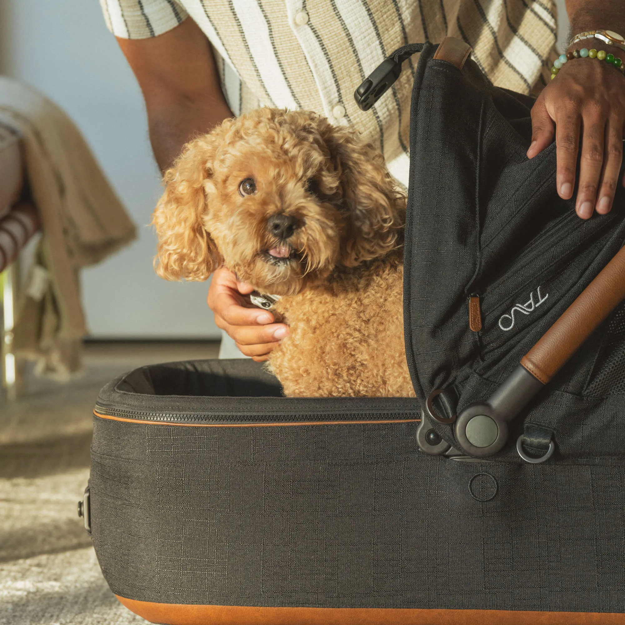 Tavo Maeve Pet Car Seat