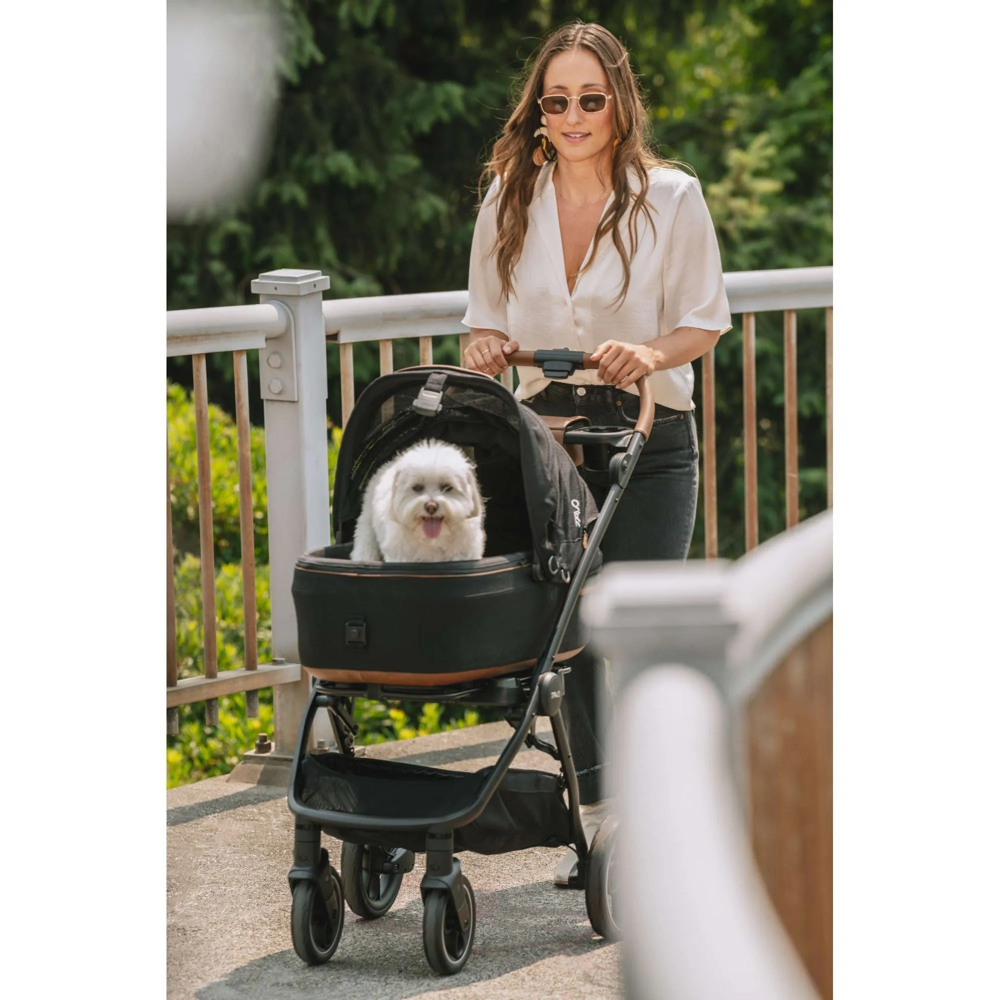 Tavo Maeve   Roscoe 3-in-1 Pet Protection System