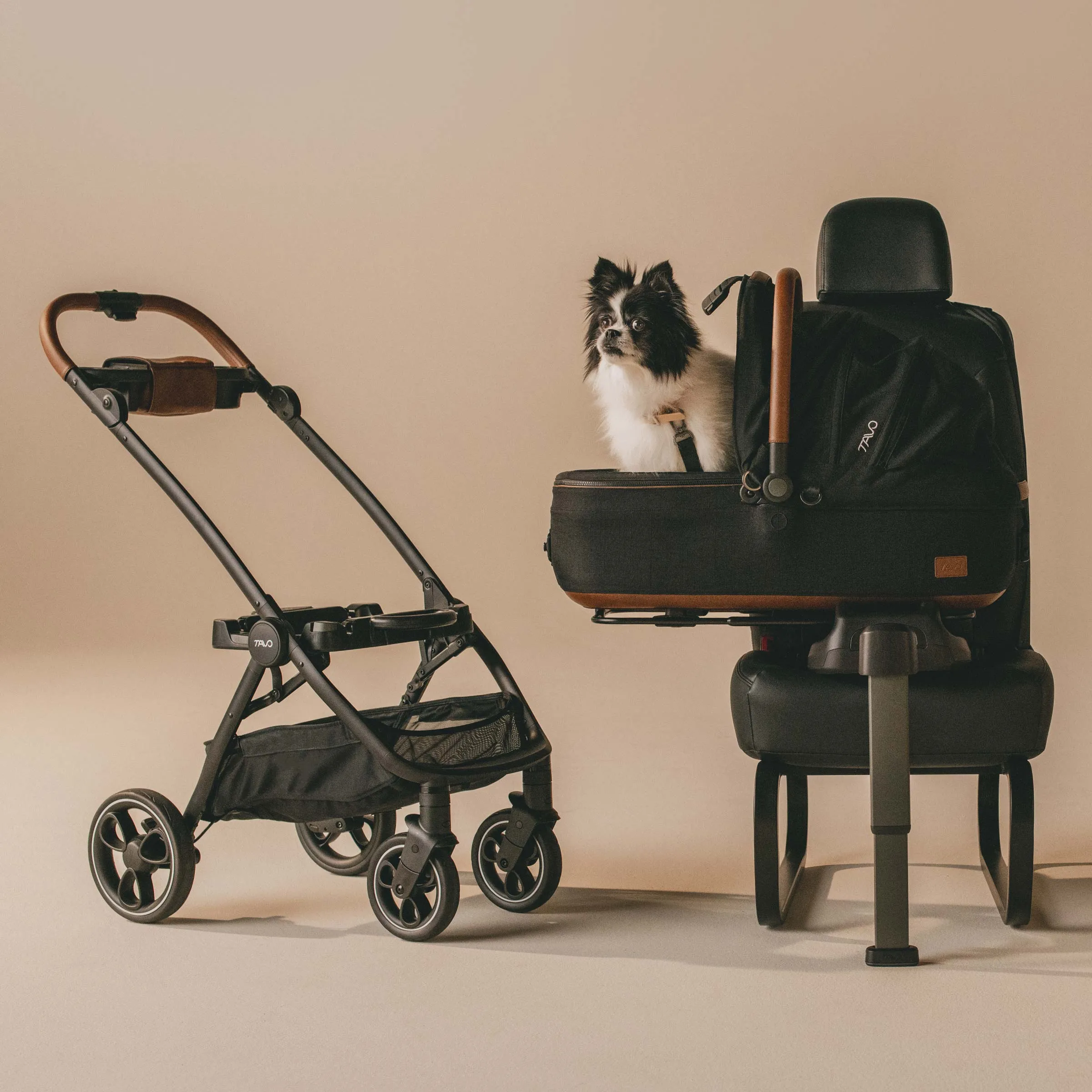 Tavo Maeve   Roscoe 3-in-1 Pet Protection System