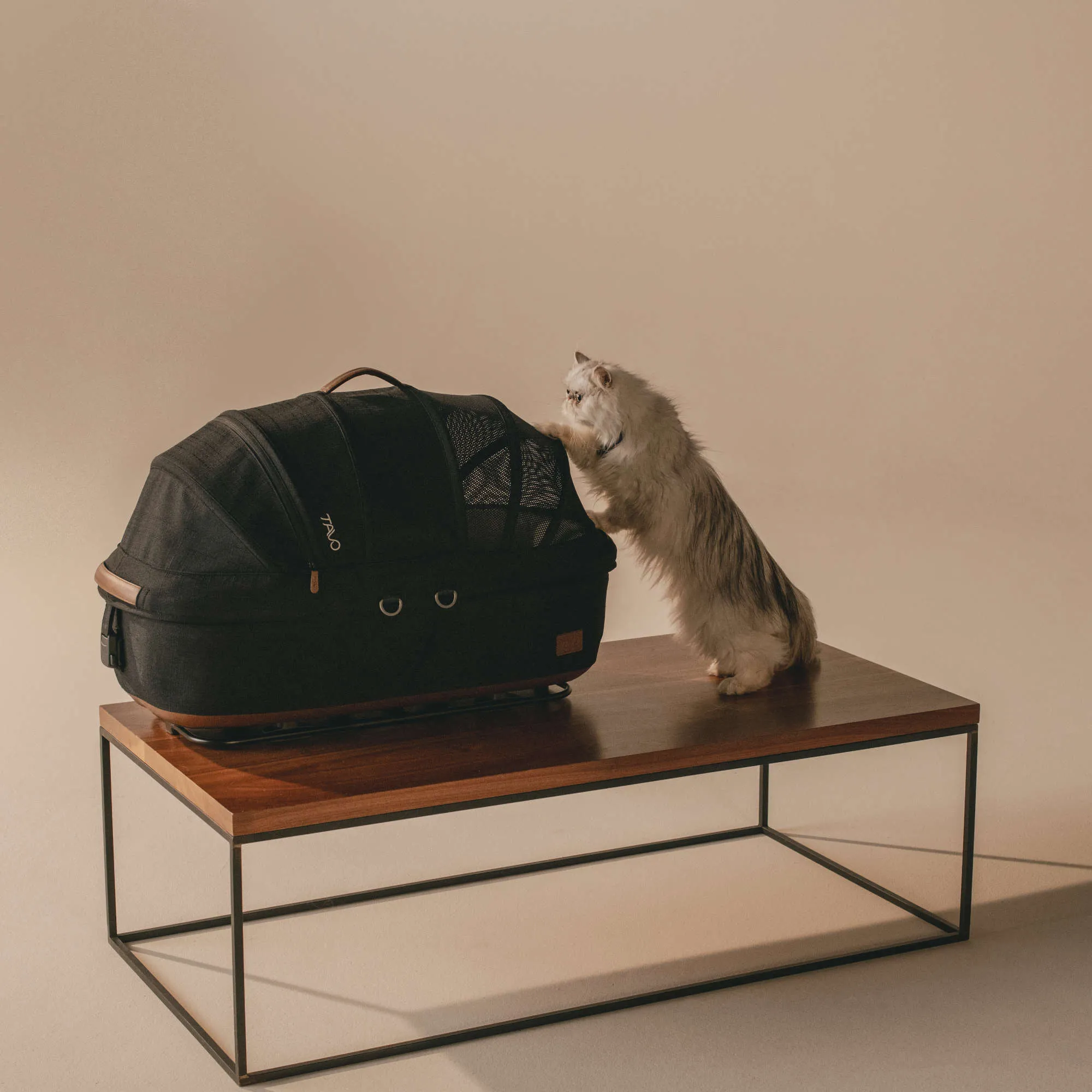 Tavo Maeve   Roscoe 3-in-1 Pet Protection System