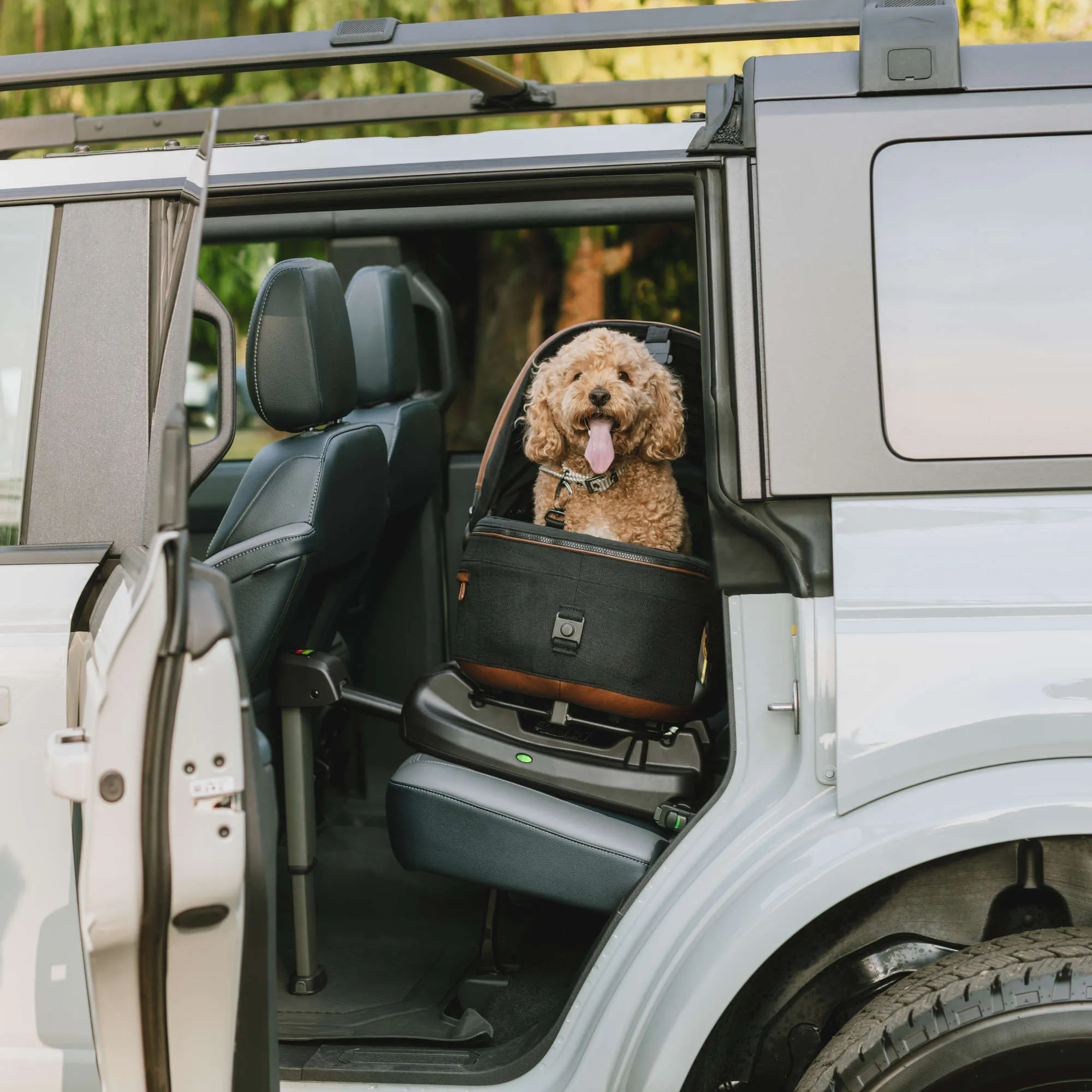 Tavo Maeve   Roscoe 3-in-1 Pet Protection System