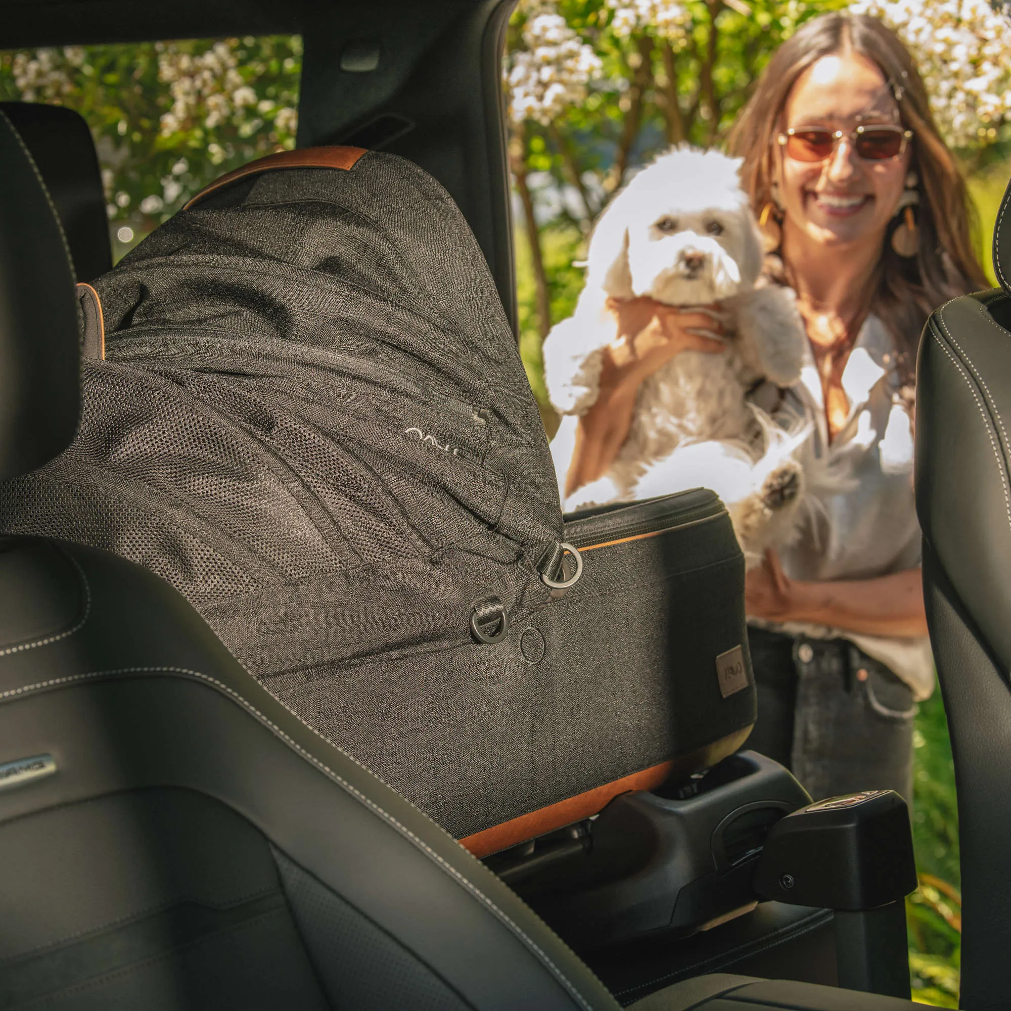 Tavo Maeve   Roscoe 3-in-1 Pet Protection System