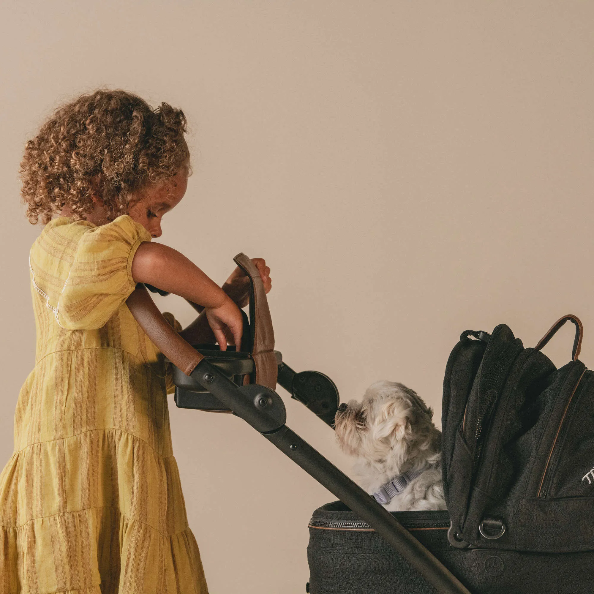 Tavo Maeve   Roscoe 3-in-1 Pet Protection System