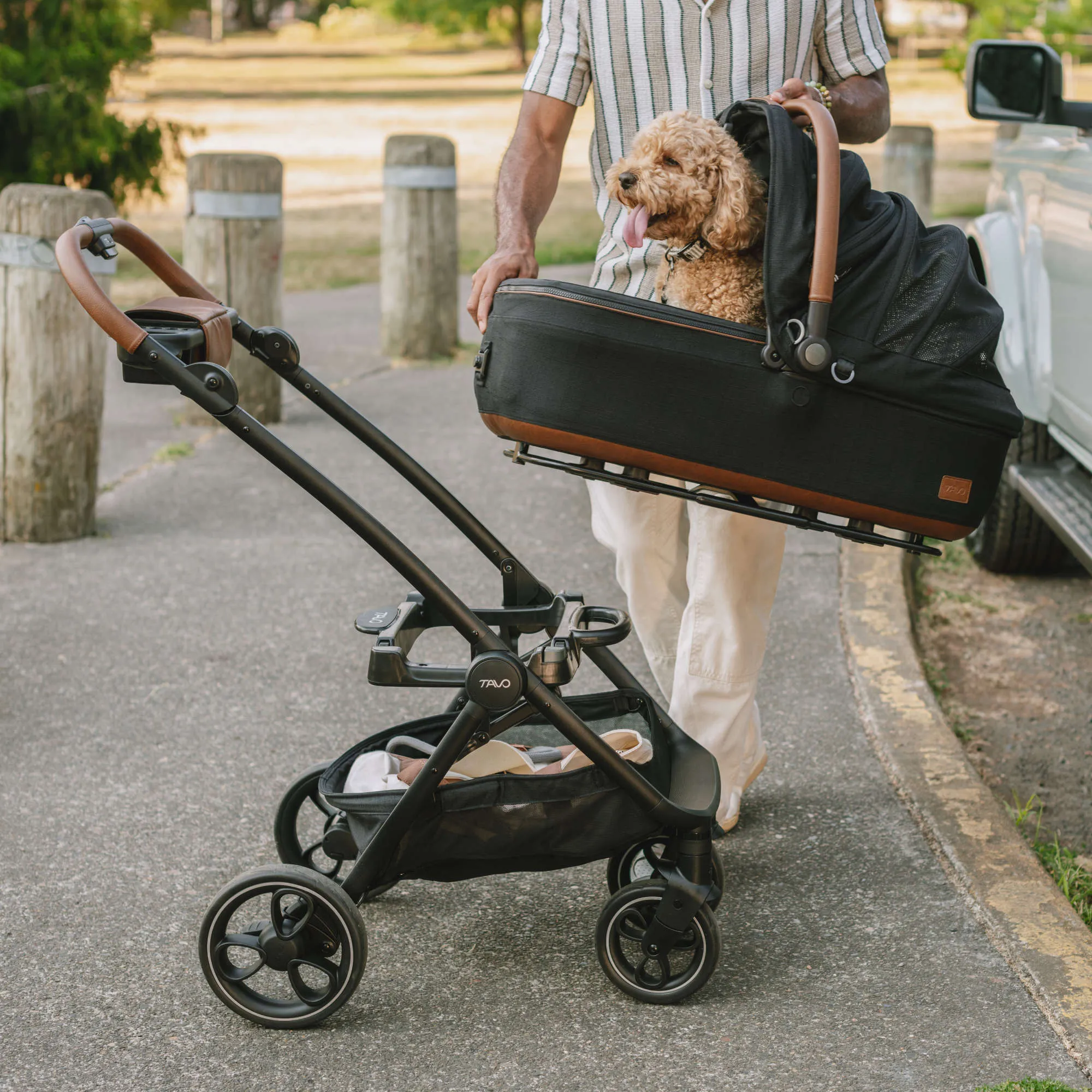 Tavo Maeve   Roscoe 3-in-1 Pet Protection System