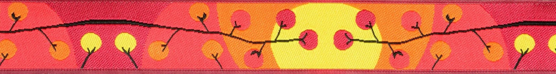 Walking Belt and Leash Set